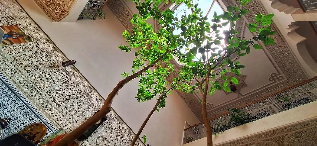 Guest house Riad 111 & Spa Marrakesh